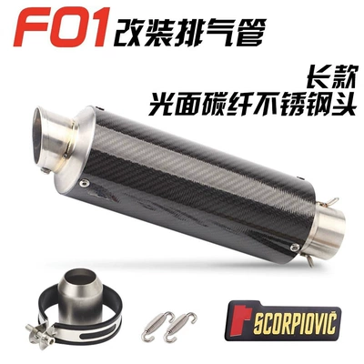 Exhaust pipe Huanglong 600 R1 Ninja400 - f01-long-smooth-carbon-fiber-stainless-steel-head