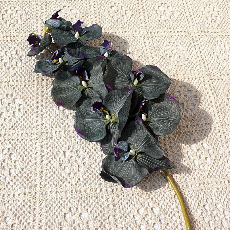 O1CN01Mrtfa81s540ku0SGv_!!4036