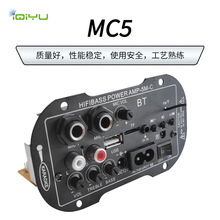 厂家跨境专供5寸12V220V两用双MIC带BT汽车数字功放板功放配件