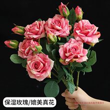 保湿玫瑰花花客厅摆设假花花束餐桌干花插花新款装饰鑫特