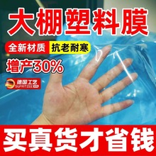 lĤ͸POĤPEĤ߲˻ܟoĤBֳڰĤ