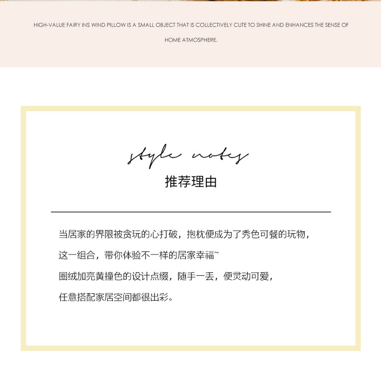 北欧ins风抱枕_02