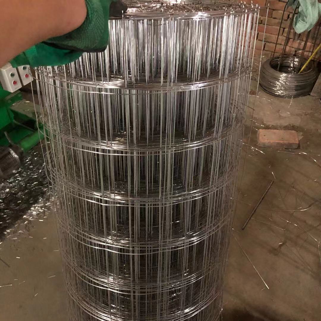 厂家生产现货销售钢结构屋面托棉304不锈钢钢丝网  量大优选