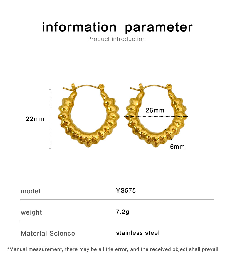10g Weight 1 Pair Elegant Oval Stainless Steel Plating Hoop Earrings