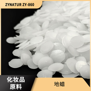 ��Ϟ �ϳ�Ϟ ���yƷ���턩  ZYNATUR ZY-860