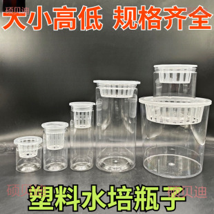 ͸������ˮ�໨��A���Ύ���ֲ�@��ˮ��ˮ���߲˶��ӷN�ӻ��ܾGֲ