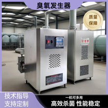 大型臭氧发生器100G氧气源泳池工业空间养殖桶装水水箱杀菌消毒器