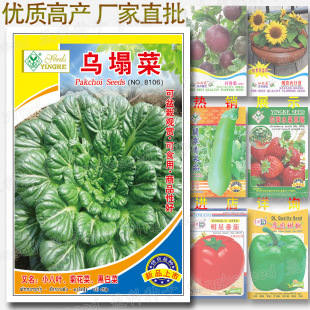 �����˷N�� �s2000�����ò��� �ڲ� ���Ҟ� С���~ �ջ��� �ڰײ�