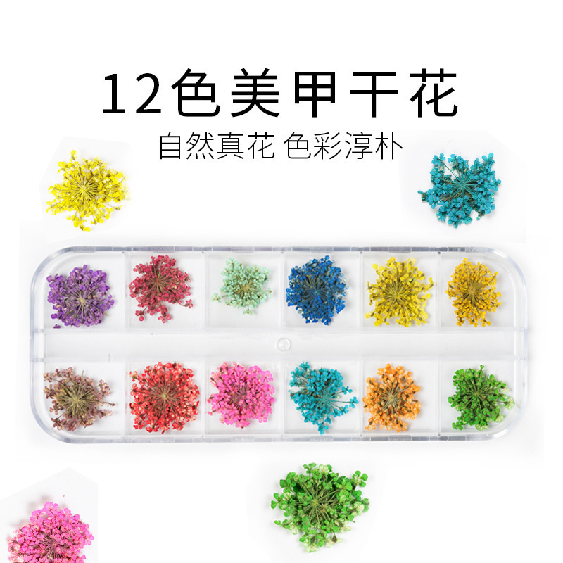 Nail Art Lace Dried Flowers Nail Art Three-dimensional Dried Flowers Nail Art Real Flowers 12 Colors Manicure Dried Flowers Nail Art Flowers