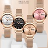 Chennuo manufacturer Small batch custom ladies watch Douyin fast hand goods source network with waterproof double calendar quartz watch OE