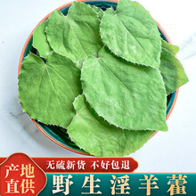 甘肃野生淫羊藿中药材叶正品男性泡水可搭肉苁蓉仙灵脾锁阳泡茶酒