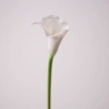Megaphone from soft rubber, white calla lilies