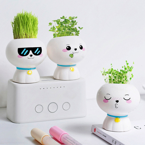 Creative micro-landscape small gifts, kindergarten birthday gifts, observing plant growth, small planting, primary school student prizes