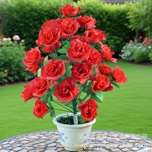 �x���������滨���컨����36�^ӭ�eõ36�^���¼�õ�廨�����l