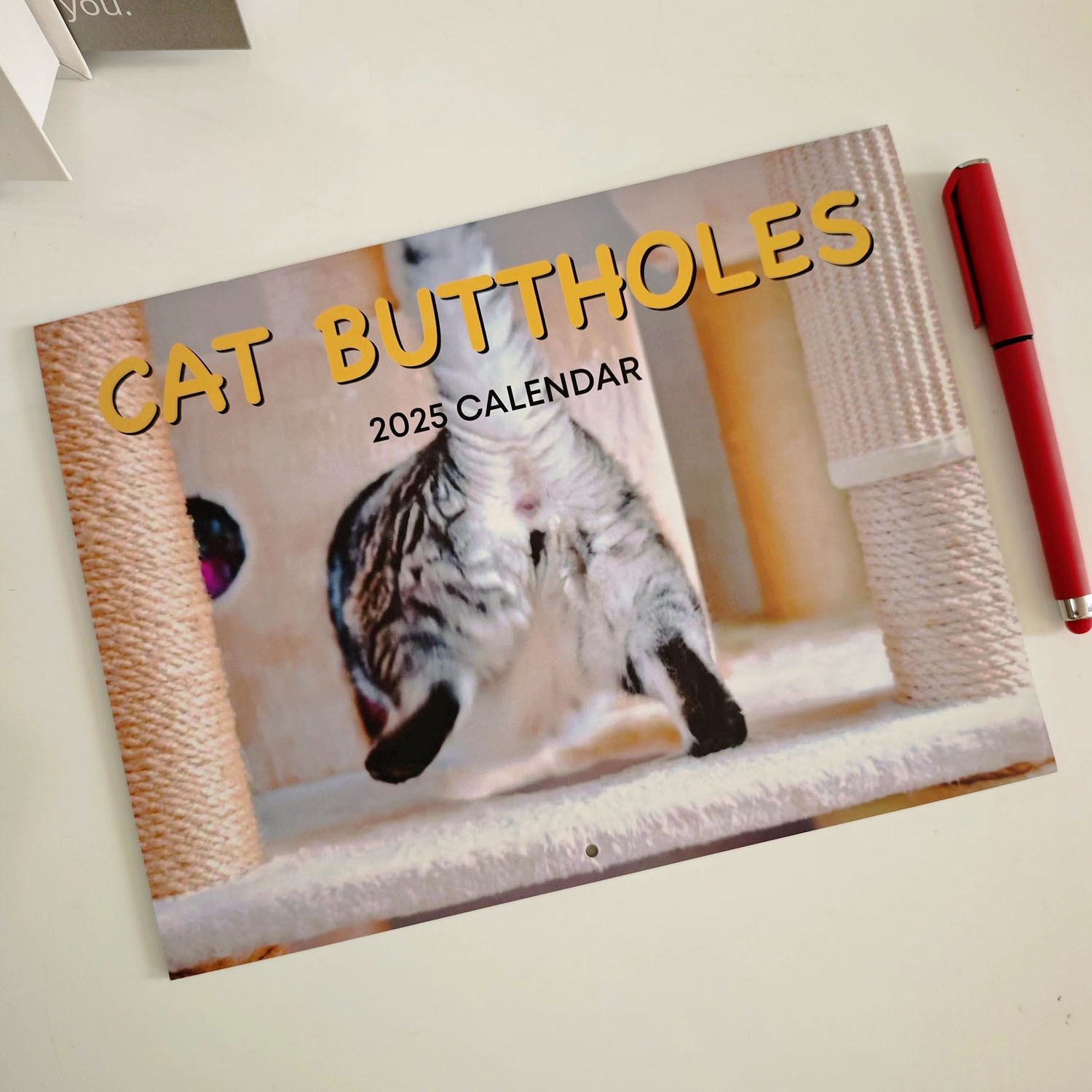 새로운 고양이 달력