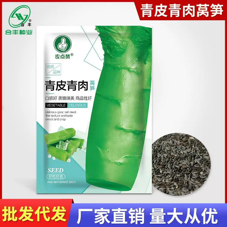 青皮青肉莴笋种子耐热莴笋种籽春夏秋莴苣青笋籽种蔬菜籽厂家批发