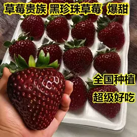 栽培基质;有机肥;园艺灌溉工具
