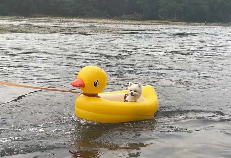 Кольцо для плавания для собак, плавающая кровать для домашних животных, маленькие размеры, кольцо для плавания для собак Тедди Корги, портативная надувная кровать для уличного использования, маленькая желтая утка