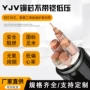 齐全电力低压铜芯电缆