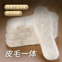 冬季保暖真纯羊毛皮毛一体加厚毛绒透气吸汗男女通用雪地靴棉鞋垫