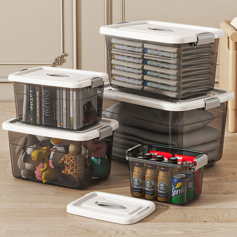 Transparent plastic handheld small storage box for auto
