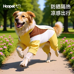 Hoopet�����_�����´��ı����·����x����ë���ﹷ�����������