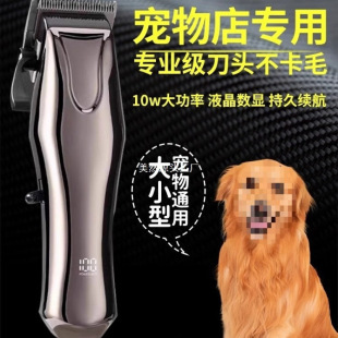 ���I���ﹷ����ë����Ƽ���������ӹ�ë�������Ȯ��Ƽ�