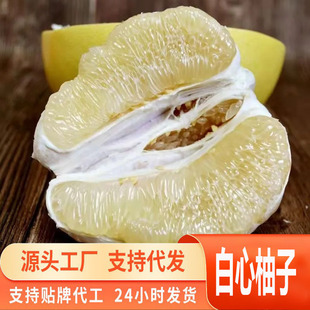 Դ�^һ�����l��ϰ����֮a��ֱ�l�������֑�����ˮ������