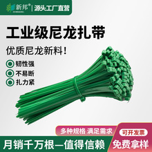 ���˾Gɫ����3.6/4.6mm���iʽ��������ֲ��@ˇ�����[��������