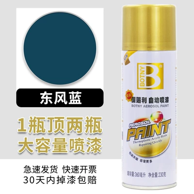 Graffiti Bicycle Color-Changing Furniture Household Avtomobil boyası - baocili-369-dongfeng-blue-450ml