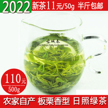 日照绿茶2022新茶春茶板栗浓香型一级炒青50克散装自产自销