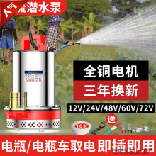 ֱ����ˮ��12V24V48V60V72V���ó�ˮ�C�ƿ܇ͨ����늄�܇��ˮ��
