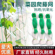 ���پW�r��ֲ��ɽș�S���㶹��϶��ǽz�ϵ��ϰ���������W�Nֲ�W