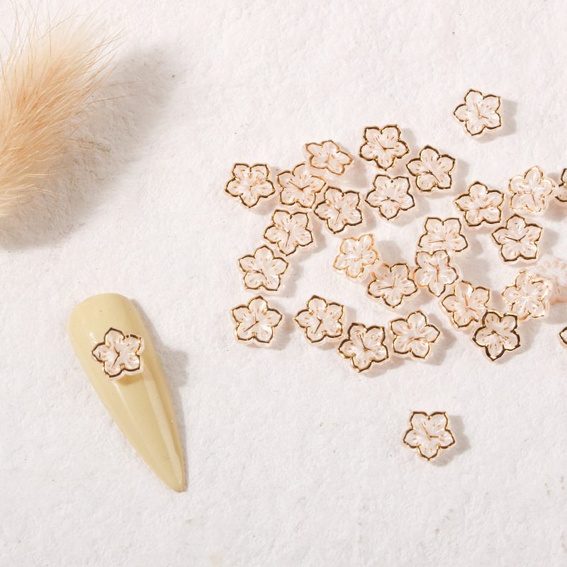 화이트 프놈펜 벚꽃