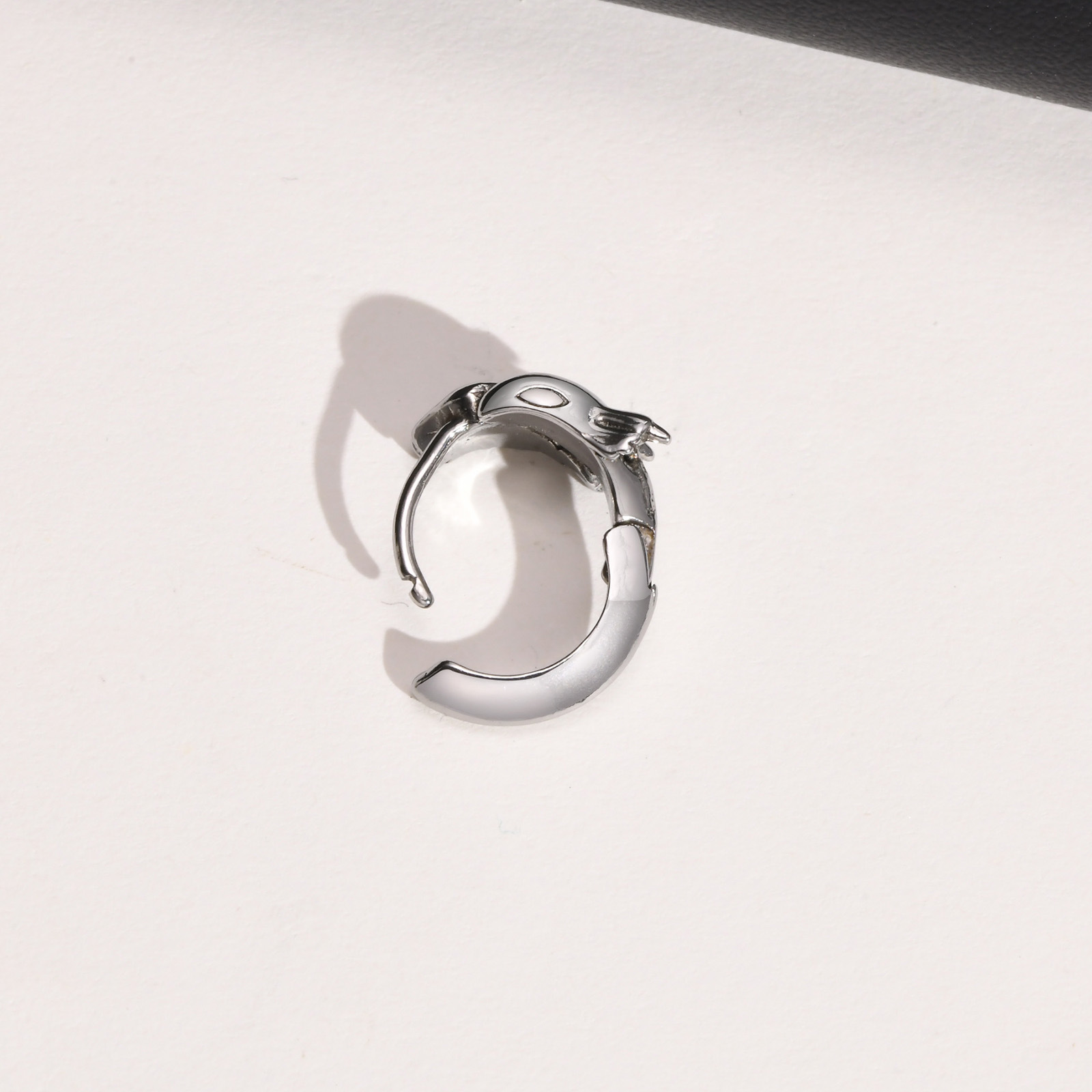 Title 3, Heren roestvrijstalen oorbellen met vliegende d...