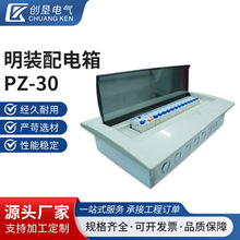 PZ-30�������ù��̴�С��·��ȫϵ�����b�_�P�����Դ�������