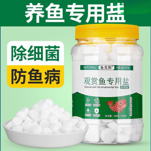 �^�p�~�}�V�ﺣ�}�~��ș��������ˮ���S���\���Ꭷ�B�~��