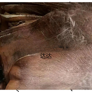 �ؘ�Ƥ������ë�ؙ����ؽz��Ƭ��Ƥ�bG�}��Ҭ�ذ�é������