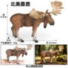 M4081 North American Elk