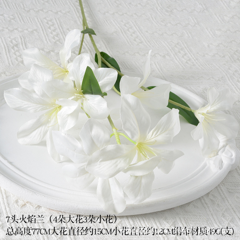 7 flame orchids white