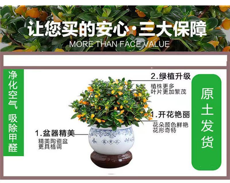 8bc2be42-2263-4629-8187-21279f774024.jpe