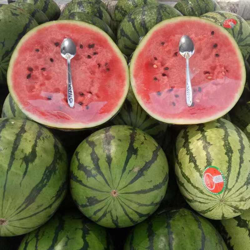 afc9bf7190a17575d8cfdf2f72100e