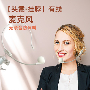 Small Amplifier Headset Female Teacher Universal Little Bee Ear-Hook Microphone Head-Mounted Microphone Tour Guide Headphones