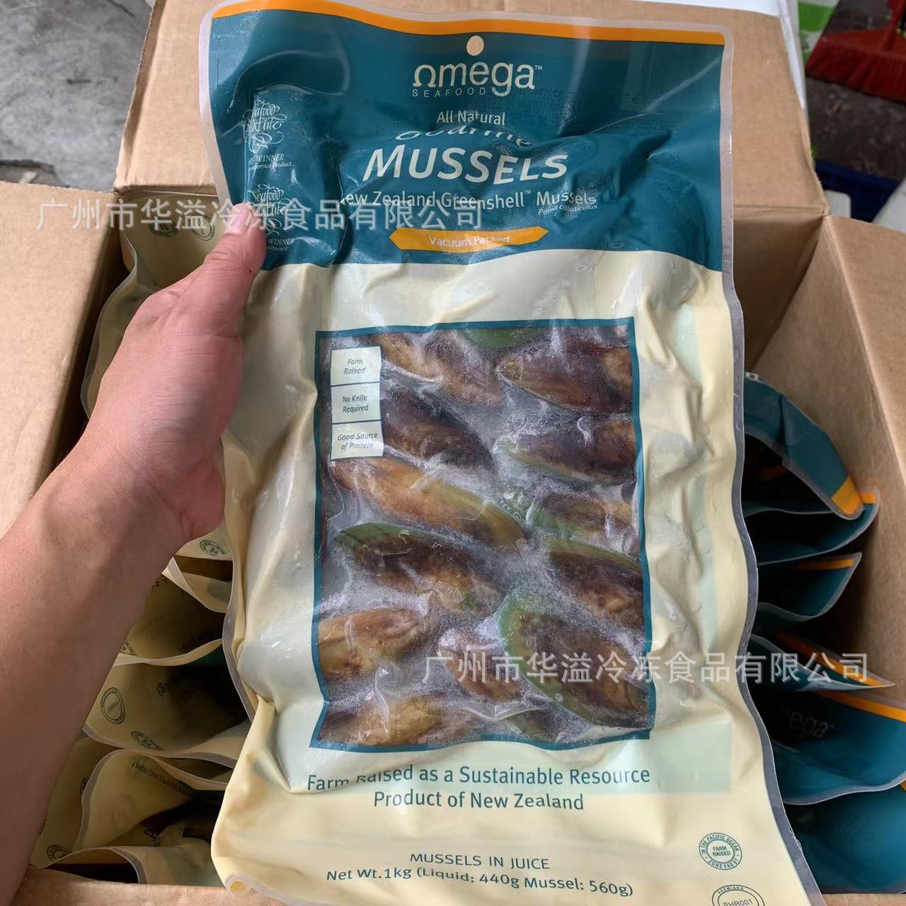 新西兰全壳青口 1kg*10袋/箱  刺身青口贝冷冻胎贝 带壳青口贝