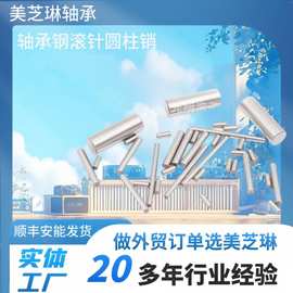 直径φ2-φ2.5实心高精密圆柱定位销加长型定位销圆柱销玩具车轴