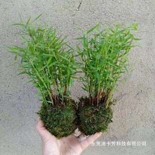 ����ˮ���Pβ�����ļ������҃�����̨�[�Ń����՚���Ú��͏d�x