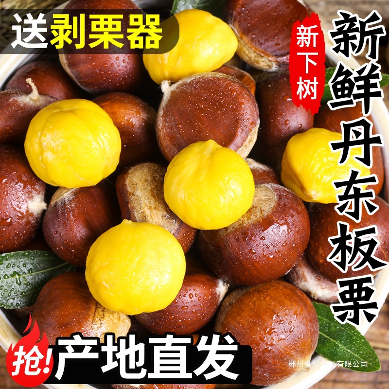 丹东生板栗新鲜栗子当季新鲜水果整箱嫩油野生板栗锥栗农家板栗仁