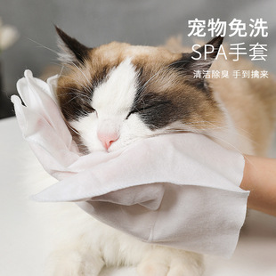 ������ϴSPA����0���ӳ������׌�����ϴ�����������l�]؈�]���坍