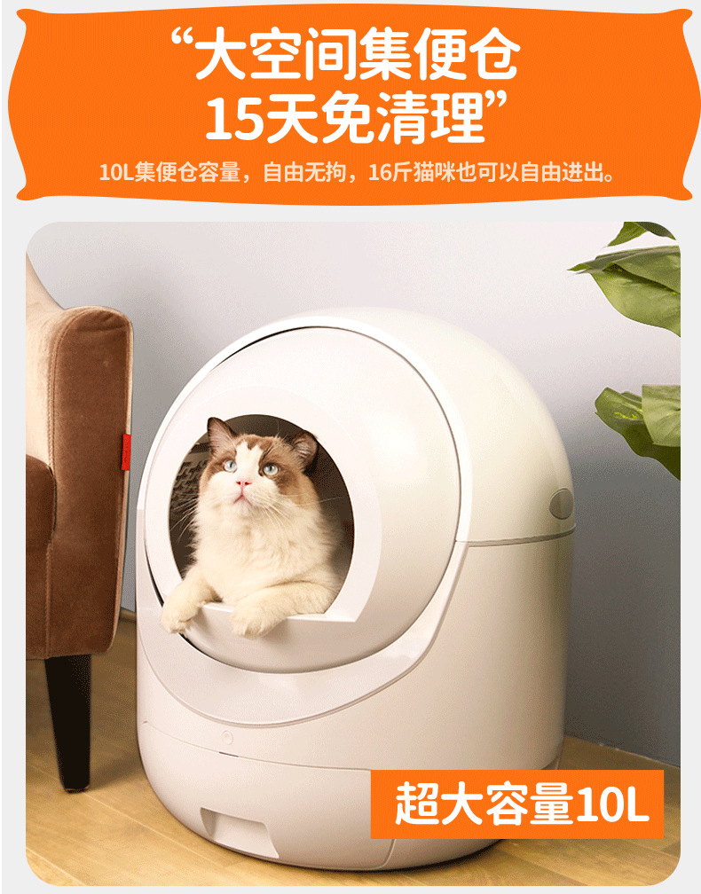 详情-切片_13
