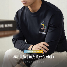 男士圆领丝光莫代尔T恤长袖刺绣马球优雅质感男装上衣运动贵族风